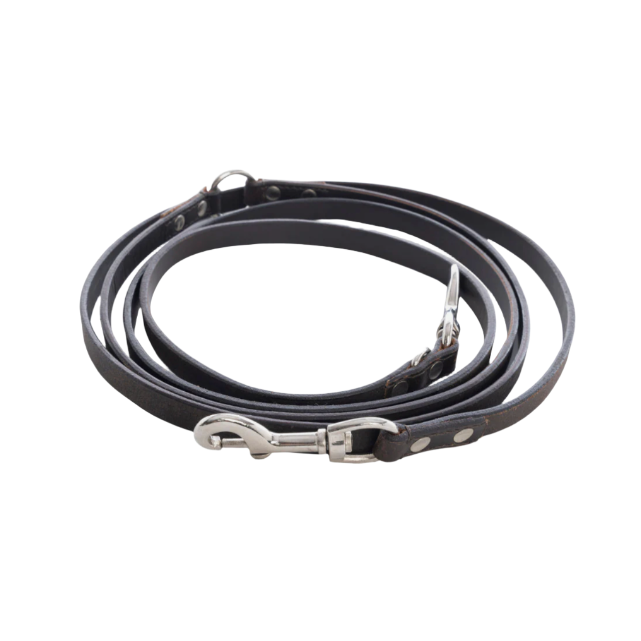 Viaje Dog Leash In Ebony
