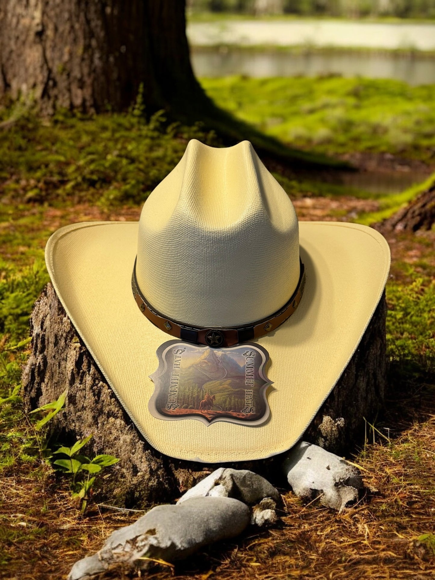 Adult Cowboy Hats