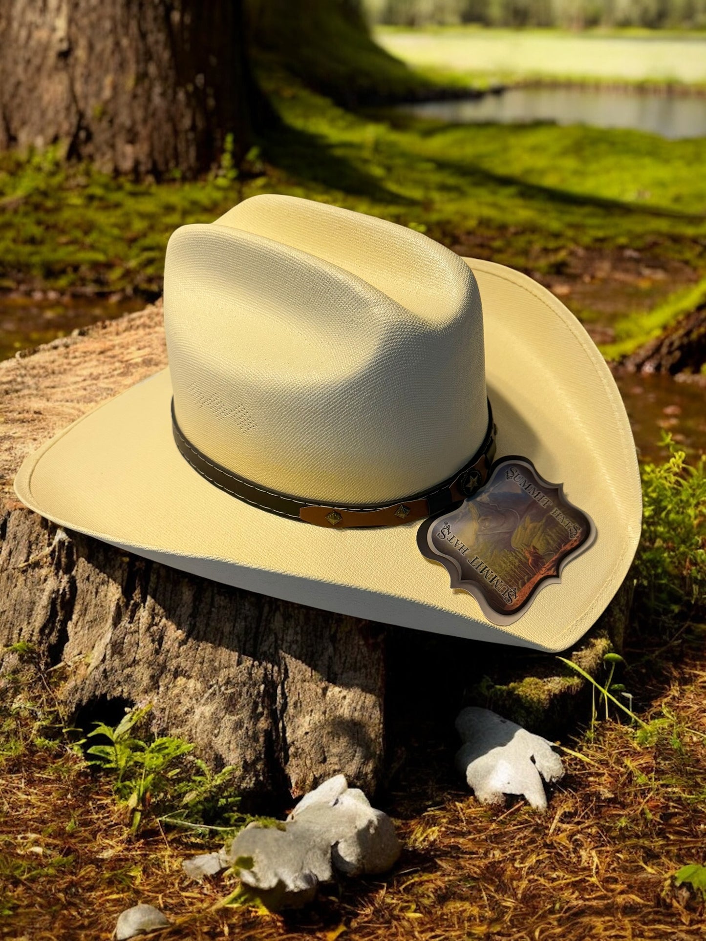 Adult Cowboy Hats