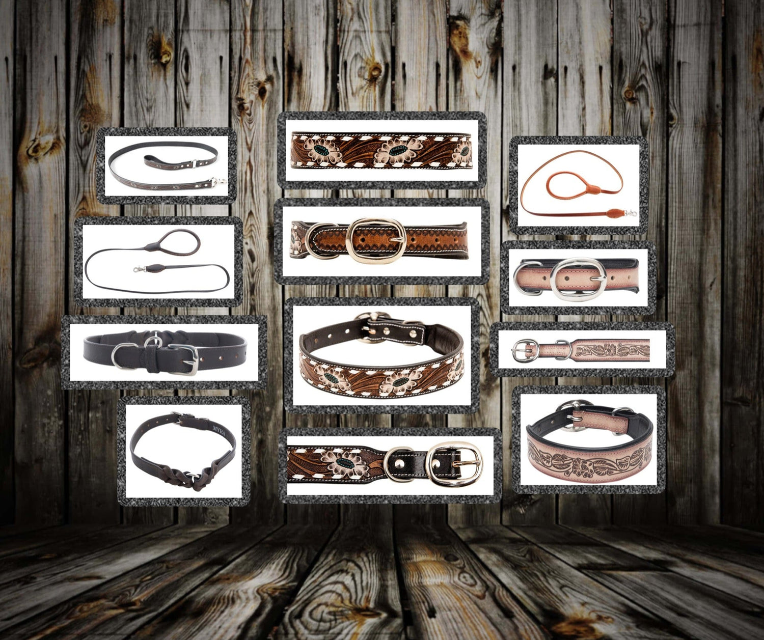 Dog Collars & Leashes