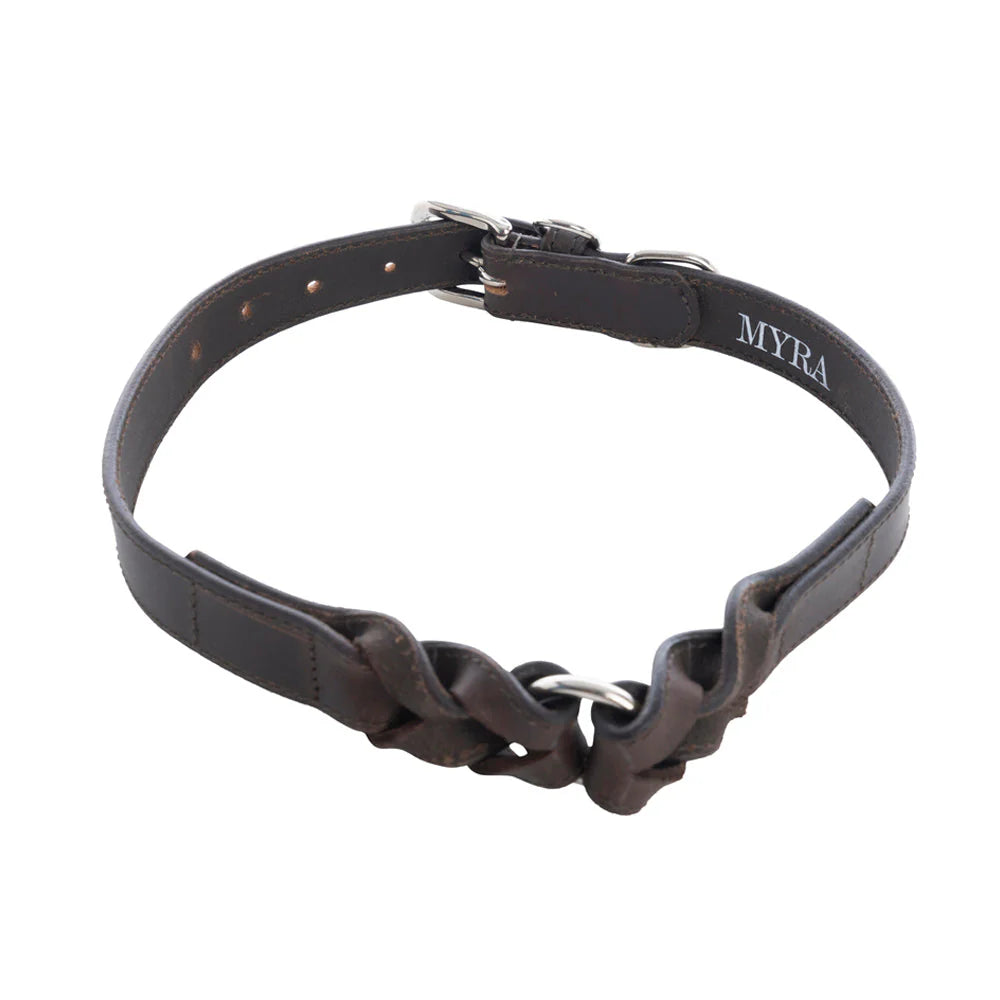 Leather Topside Dog Collar in Ebony-Dk Br