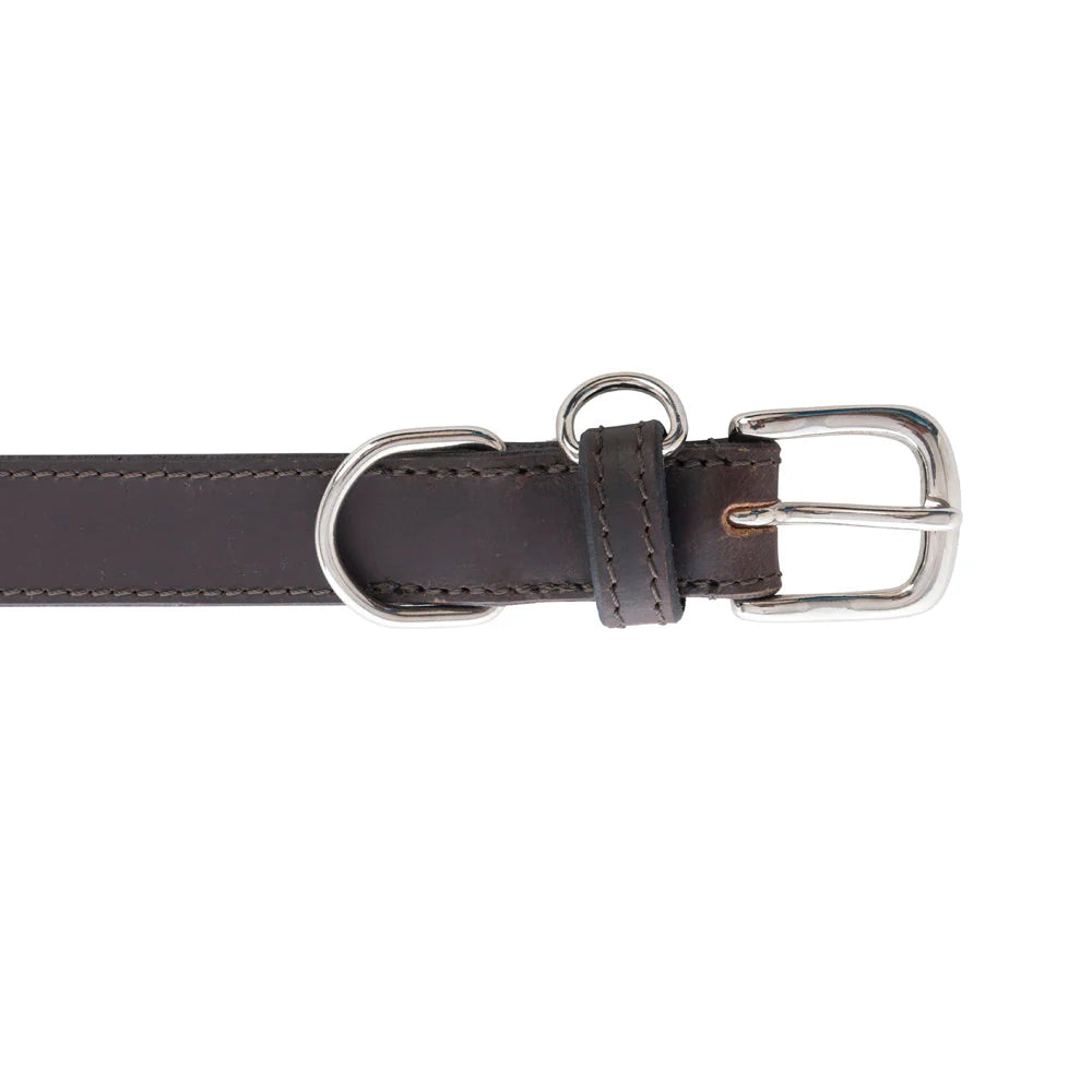 Leather Topside Dog Collar in Ebony-Dk Br