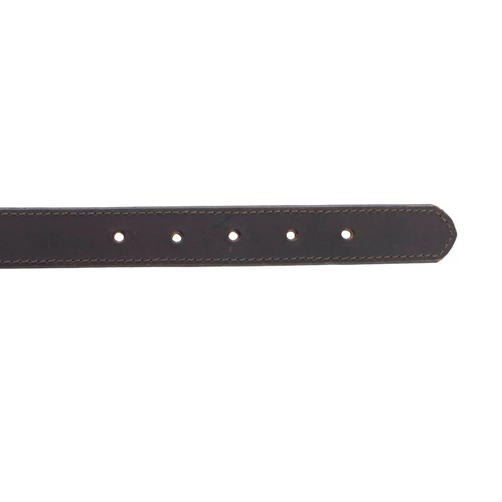 Leather Topside Dog Collar in Ebony-Dk Br