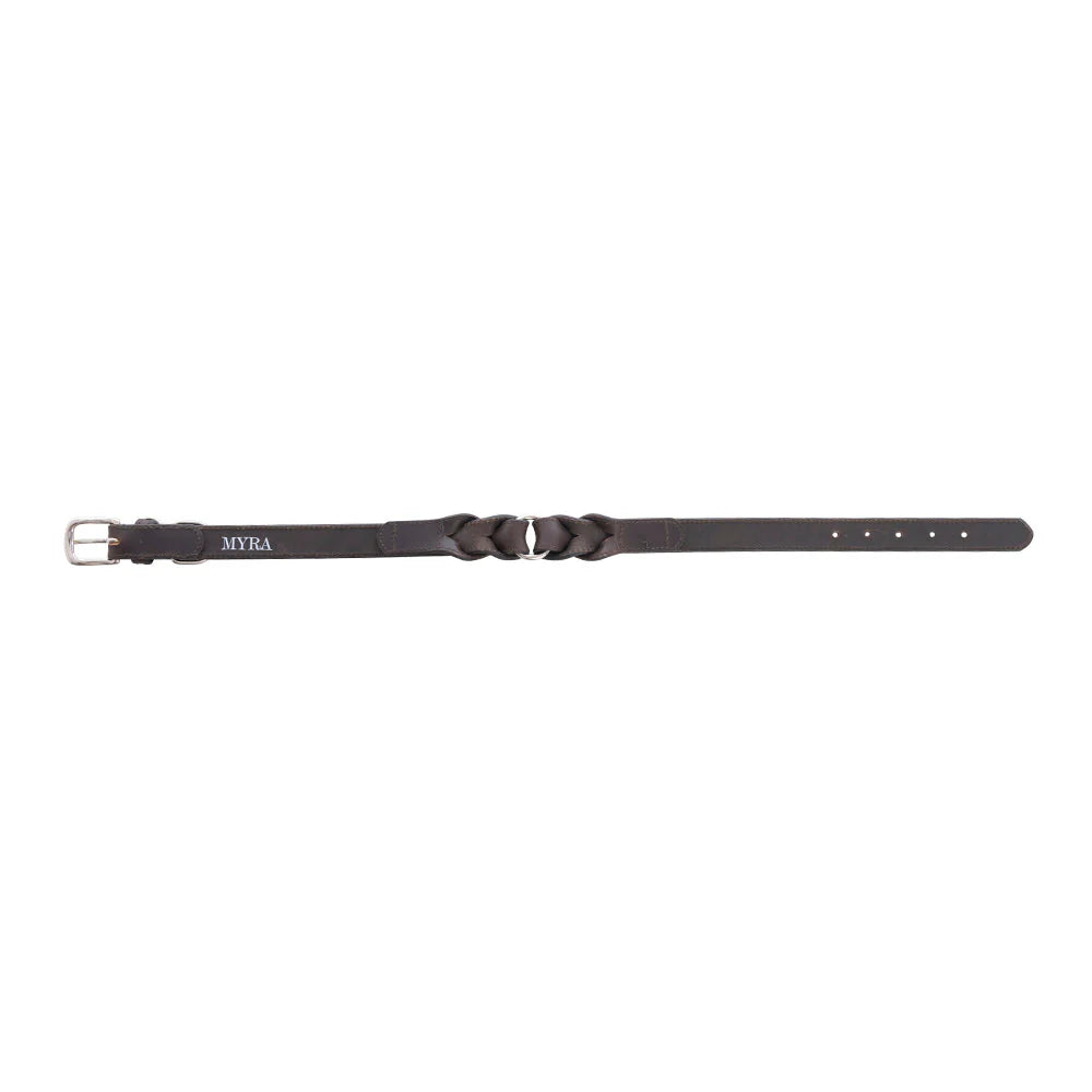 Leather Topside Dog Collar in Ebony-Dk Br