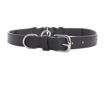 Leather Topside Dog Collar in Ebony-Dk Br