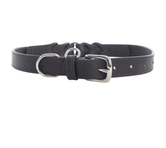 Leather Topside Dog Collar in Ebony-Dk Br
