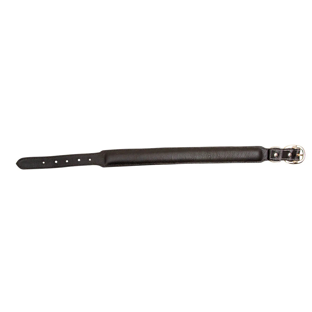Hotshots Hand-Tooled Leather Dog Collar