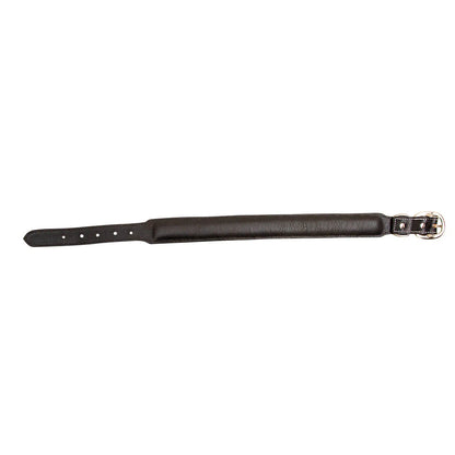 Hotshots Hand-Tooled Leather Dog Collar