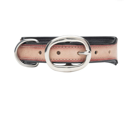 Cow Dog Trail Hand-tooled Dog Collar