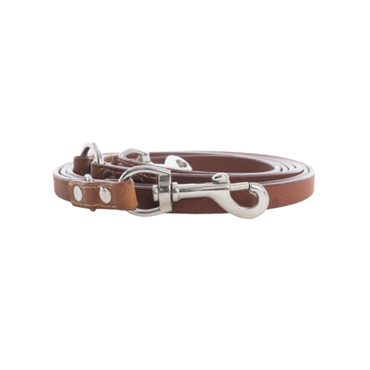 Viaje Dog Leash In Caramel