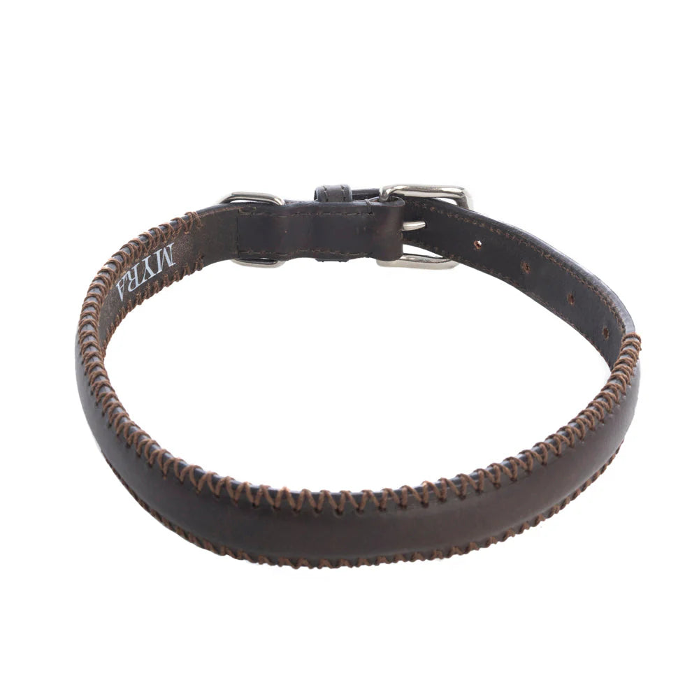Rio Correr Dog Collar In Chocolate