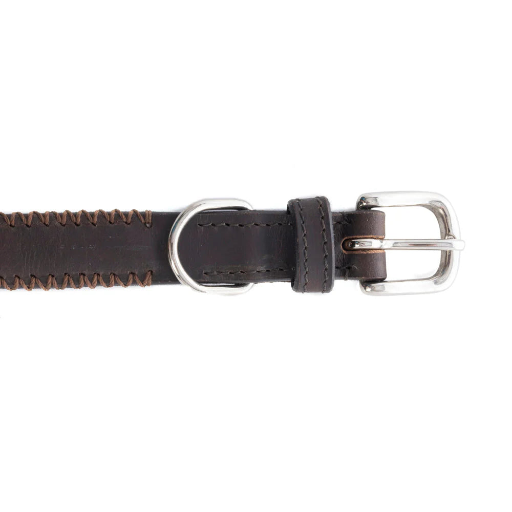 Rio Correr Dog Collar In Chocolate
