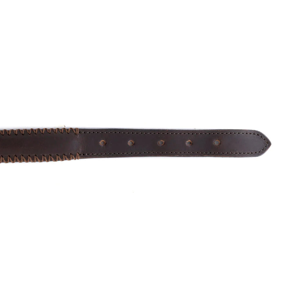 Rio Correr Dog Collar In Chocolate