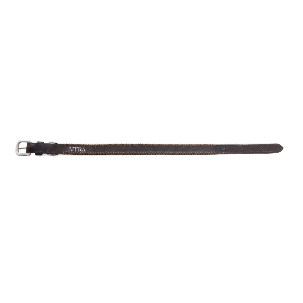 Rio Correr Dog Collar In Chocolate