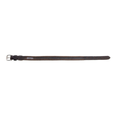 Rio Correr Dog Collar In Chocolate