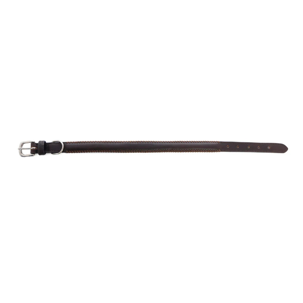 Rio Correr Dog Collar In Chocolate