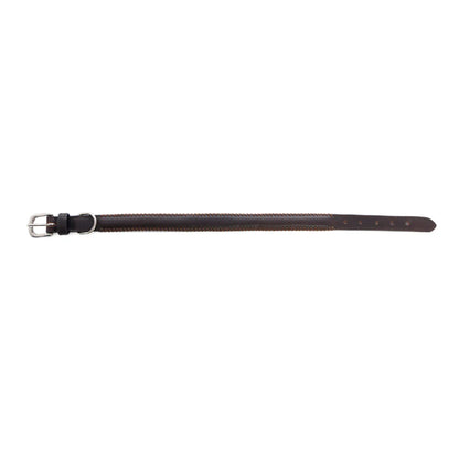 Rio Correr Dog Collar In Chocolate