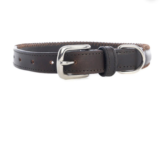 Rio Correr Dog Collar In Chocolate