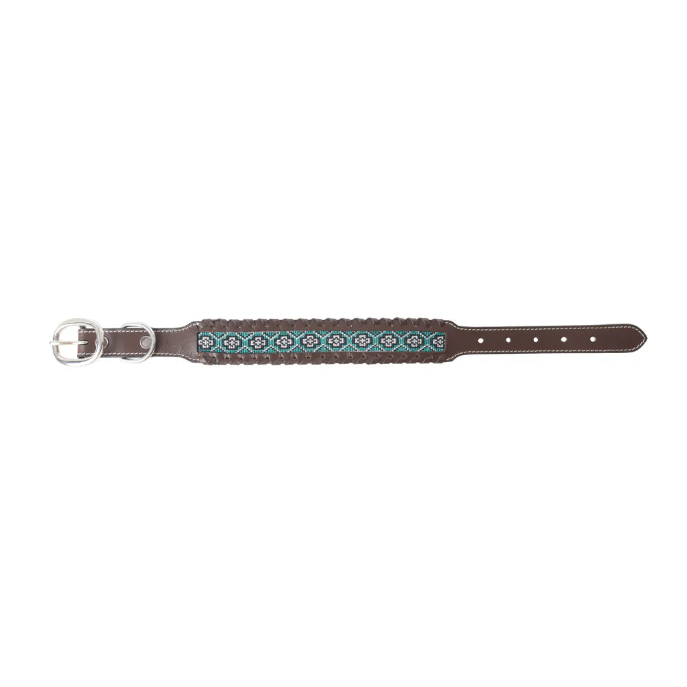 Freedom Trail Dog Collar
