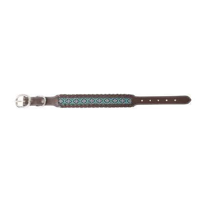Freedom Trail Dog Collar