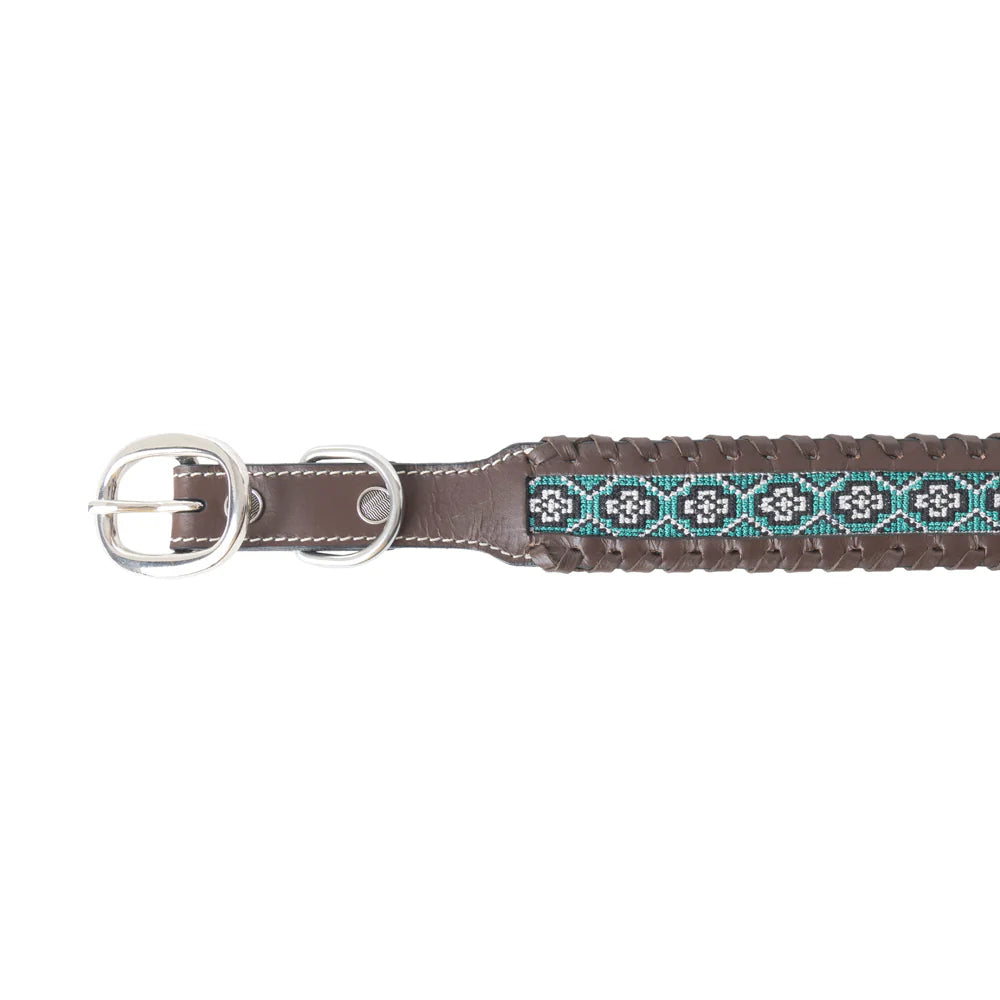 Freedom Trail Dog Collar