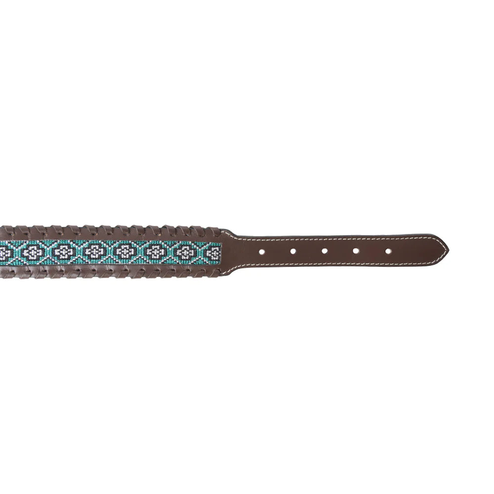 Freedom Trail Dog Collar