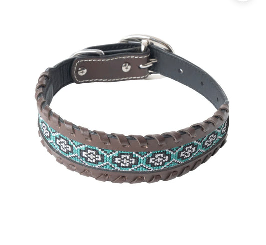 Freedom Trail Dog Collar