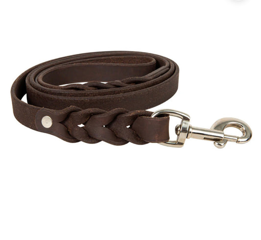 Adventurer Leather Dog Leash
