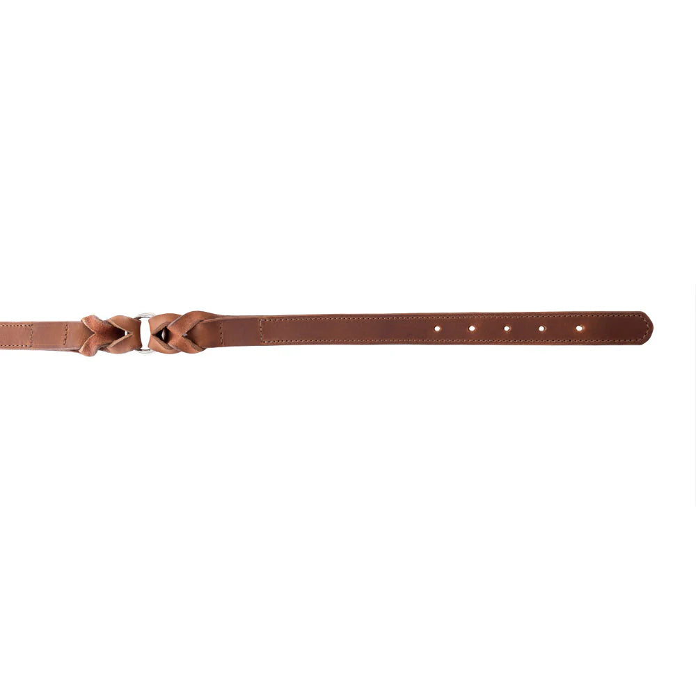 Leather Topside Dog Collar in Brown