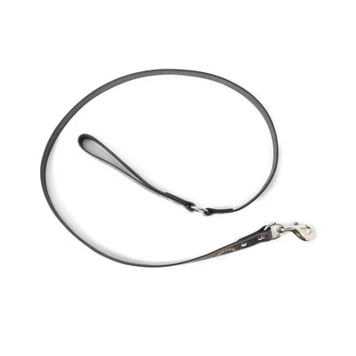 Clairmonte Dog Leash