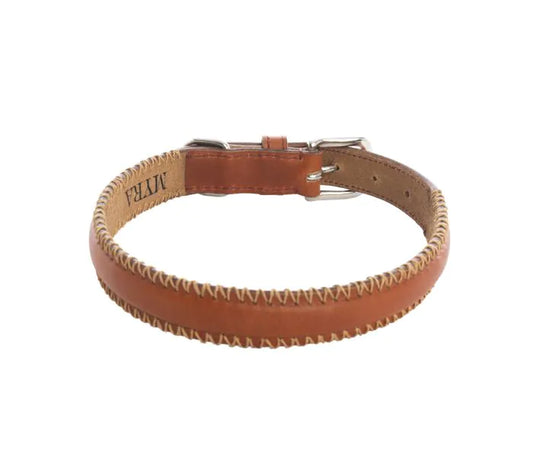 Rio Correr Dog Collar In Caramel