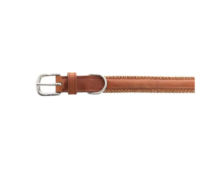 Rio Correr Dog Collar In Caramel