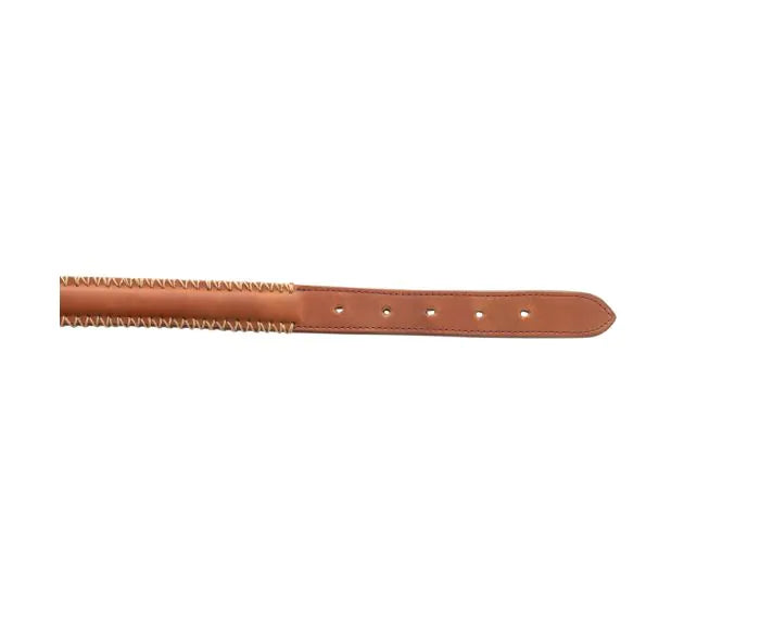 Rio Correr Dog Collar In Caramel