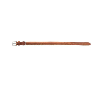 Rio Correr Dog Collar In Caramel